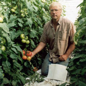Stuart Doty Tomatoes