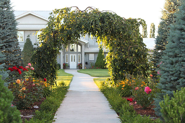 View of a beautiful home garden with live vine arch